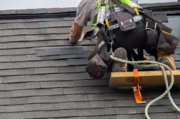Professional Roofing Contractor in San Carlos, CA